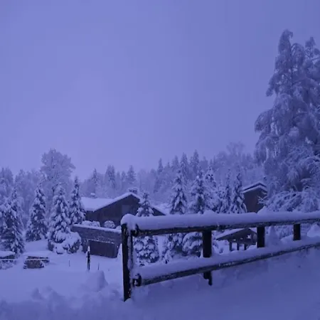 Callista Megève